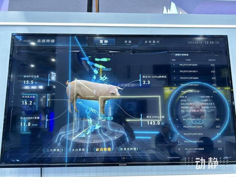 数据驱动的站群系统演进：透视SEO基建的逻辑重构与技术边界