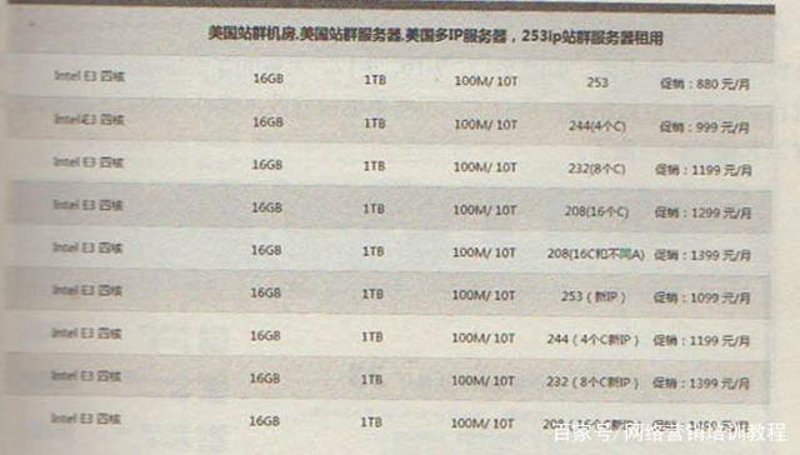 SEO站群在互联网营销中的崛起