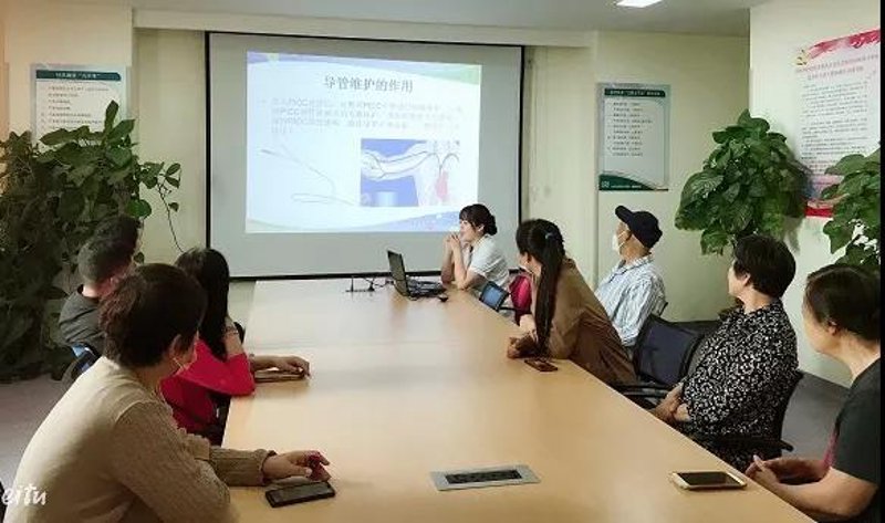 站群程序出售：电商新时代的掘金利器